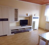 Wohnzimmer in einer 2-Zimmer-Wohnung mit Möbeln, TV und Bodenbelag in Holzoptik.