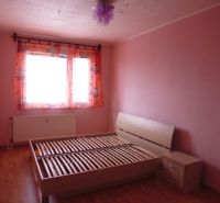 Schlafzimmer mit hellrosa Wänden, einem Bett und einem Boden mit Holzdekor in einer Zweizimmerwohnung.