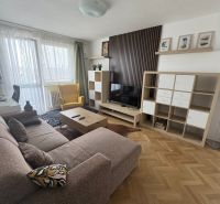 Wohnzimmer in einer 2-Zimmer-Wohnung mit Holzboden, Sofa und TV-Schrank.