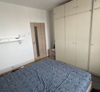 Schlafzimmer mit großem Kleiderschrank und Holzboden in einer 2-Zimmer-Wohnung.