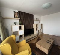 Wohnzimmer in einer 2-Zimmer-Wohnung mit Holzboden und gelbem Sessel.