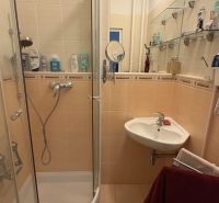 Badezimmer mit Dusche, Waschbecken und Regalen in einer 2-Zimmer-Wohnung.
