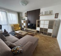 Wohnzimmer in einer 2-Zimmer-Wohnung mit einem bequemen Sofa und einem Boden in Holzoptik.