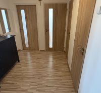 Ein Flur mit mehreren Türen und einem Bodenbelag in Holzoptik in einer Zweizimmerwohnung.
