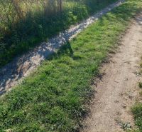 Ein grasiger Weg in Budiná mit wachsenden Sträuchern entlang der Straße bei einem Einfamilienhaus.