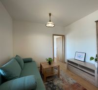 Wohnzimmer mit Holzboden, grünem Sofa und Holzmöbeln in einer Zweizimmerwohnung.