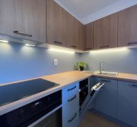 Moderne Küche in einer 2-Zimmer-Wohnung mit Holzboden und blauen Schränken.