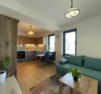 Wohnzimmer mit Küche, Holzboden, grünes Sofa, 2-Zimmer-Wohnung.