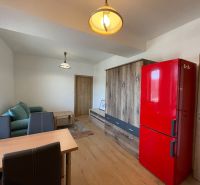 Wohnzimmer in einer 2-Zimmer-Wohnung mit Holzboden und rotem Kühlschrank.