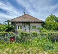 Ein Einfamilienhaus in Hajná Nová Ves mit einem bewachsenen Garten und einem schrägen Dach.