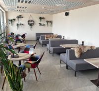 Innenraum eines Gastronomiebereichs mit modernen grauen Sofas, bunten Stühlen und dekorativen Pflanzen.