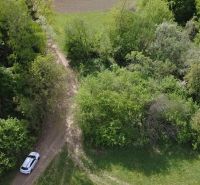 Ein Auto auf einem Waldweg in den Erholungsgrundstücken Streženice, Streženice, umgeben von Grün.