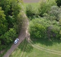Wiesenweg umgeben von Bäumen auf Erholungsgrundstücken in Streženice, Streženice.