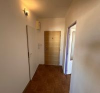 Eingangsflur in einer 2-Zimmer-Wohnung mit Holzboden und heller Beleuchtung.