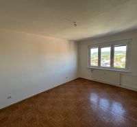 Geräumiges Zimmer mit Holzboden in einer 2-Zimmer-Wohnung.