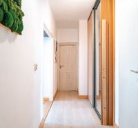 Der Flur einer 3-Zimmer-Wohnung mit einem Boden in Holzoptik und einem Einbauschrank.