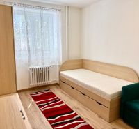 Einzimmerwohnung mit hellen Möbeln, Bett, Teppich und Boden in Holzoptik.