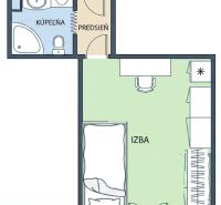 Grundriss einer Einzimmerwohnung mit Flur und Badezimmer.