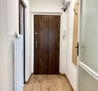 Flur in einer Einzimmerwohnung mit einem Holzboden und Holztüren.