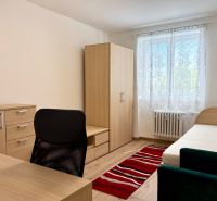 Innenraum einer 1-Zimmer-Wohnung mit Möbeln in Holzdekor und Teppich.
