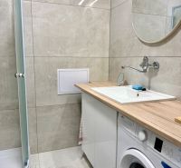 Badezimmer in einer Einzimmerwohnung mit Duschkabine, Waschmaschine und Spiegel über dem Waschbecken.