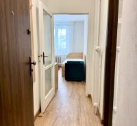 Ein Flur mit Holzboden führt in das Zimmer einer Einzimmerwohnung.