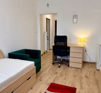 Einzimmerwohnung mit Bett, Sessel, Schreibtisch und Holzboden.