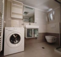 Badezimmer in einem Einfamilienhaus mit Waschmaschine, Waschbecken, Duschkabine und Toilette.