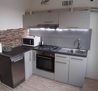 Küche in einer 2-Zimmer-Wohnung mit Holzboden und Steinwand.