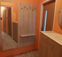Oranger Flur mit Spiegel, Kleiderhaken und Boden in Holzoptik in einer 2-Zimmer-Wohnung.