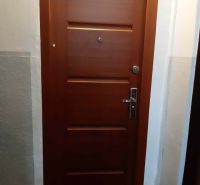Braune Eingangstür in einer 2-Zimmer-Wohnung mit Sicherheitsbeschlägen.