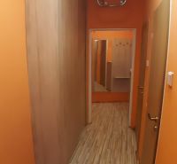 Ein Flur mit orangefarbenen Wänden und einem Boden in Holzoptik in einer Zweizimmerwohnung.