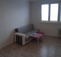 Wohnzimmer in einer Zweizimmerwohnung mit Sofa und Tisch, Boden mit Holzdekor.