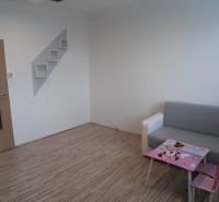 Wohnzimmer in einer 2-Zimmer-Wohnung mit Holzboden und Kindermöbeln.