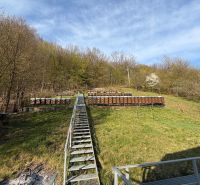 Bienenstöcke am Hang, umgeben von Wald, auf dem Gelände eines Einfamilienhauses in Štós.