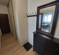 Flur in einer Einzimmerwohnung mit Holzboden, Garderobe und Spiegel.