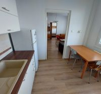 Küche in einer Einzimmerwohnung mit Esstisch und Boden in Holzoptik.