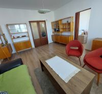 Wohnzimmer einer Einzimmerwohnung mit Holzboden und Retro-Möbeln.