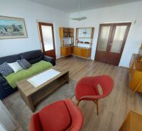 Wohnzimmer in einer Einzimmerwohnung mit Holzboden und Retro-Möbeln.