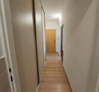 Flur mit Einbauschrank und Boden mit Holzdekor in einer Einzimmerwohnung.