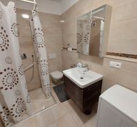 Badezimmer in einer Einzimmerwohnung mit Duschkabine, Spiegel und Waschmaschine.