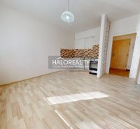 Küche in einer Einzimmerwohnung mit Holzboden und Keramikfliesen.