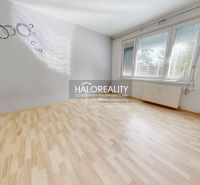Ein Zimmer mit einem Holzboden, grauen Wänden und großen Fenstern in einer Einzimmerwohnung.