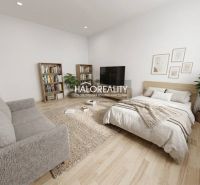 Wohnzimmer in einer Einzimmerwohnung mit Sofa, Bett und Holzboden.