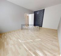 Ein Zimmer in einer Einzimmerwohnung mit einem Boden in Holzoptik und grauen Wänden.