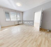 Helles Zimmer mit Holzboden in einer Einzimmerwohnung.