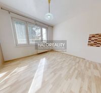 Helles Zimmer mit Holzboden und großen Fenstern in einer Einzimmerwohnung.