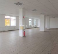Geräumiges Interieur mit weißen Wänden, Fenstern und Fliesenboden. Geschäftsräume.