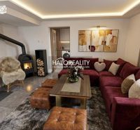 Wohnzimmer in einem Einfamilienhaus mit Kamin, weinrotem Sofa und gemütlicher Dekoration.