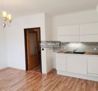 Einzimmerwohnung mit Küche, weißen Schränken und Holzboden, geeignet zur Vermietung.